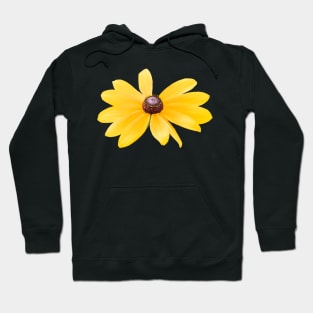 Yellow Black-Eyed Susan Flower on White Background Hoodie